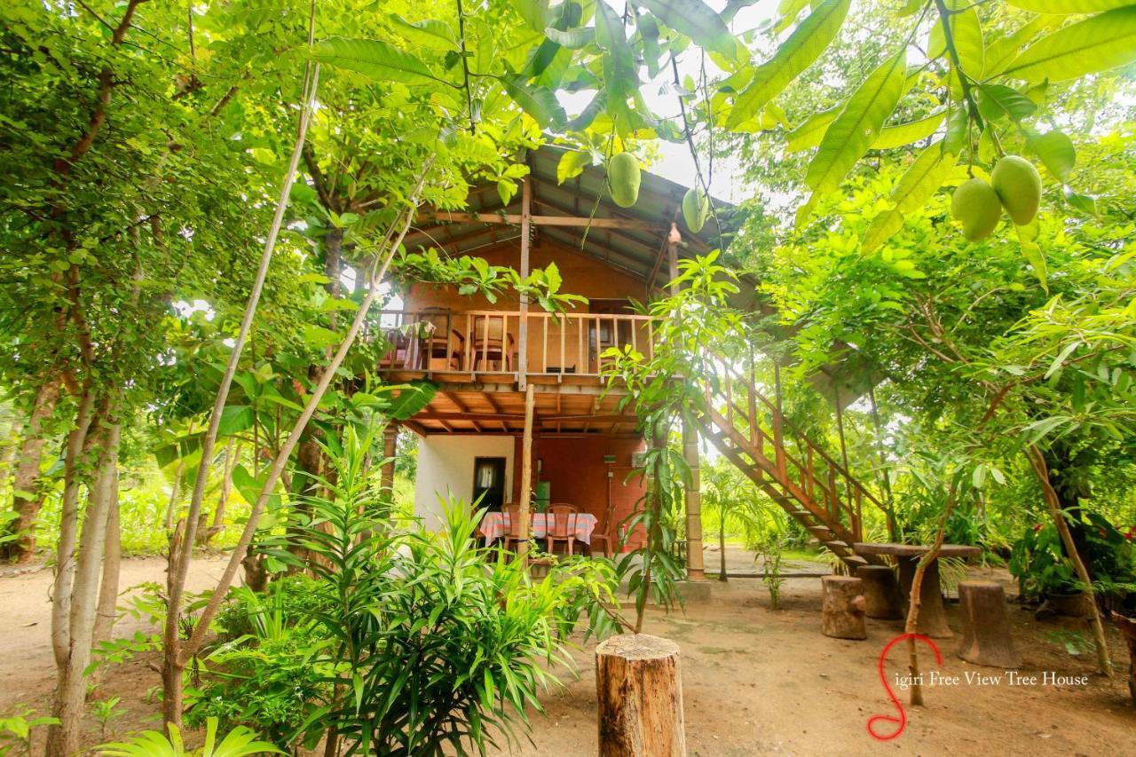 Sigiriya Free View Tree House & Villa Exterior foto