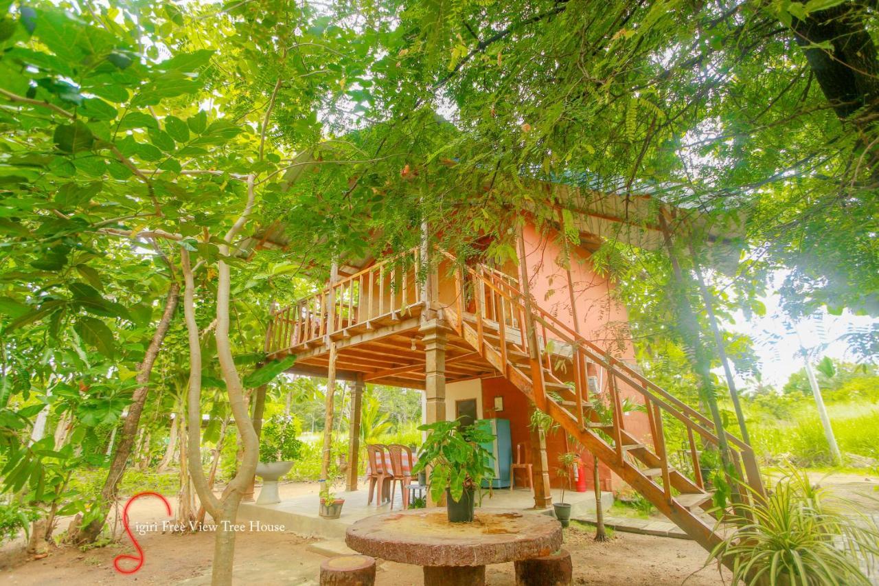 Sigiriya Free View Tree House & Villa Exterior foto