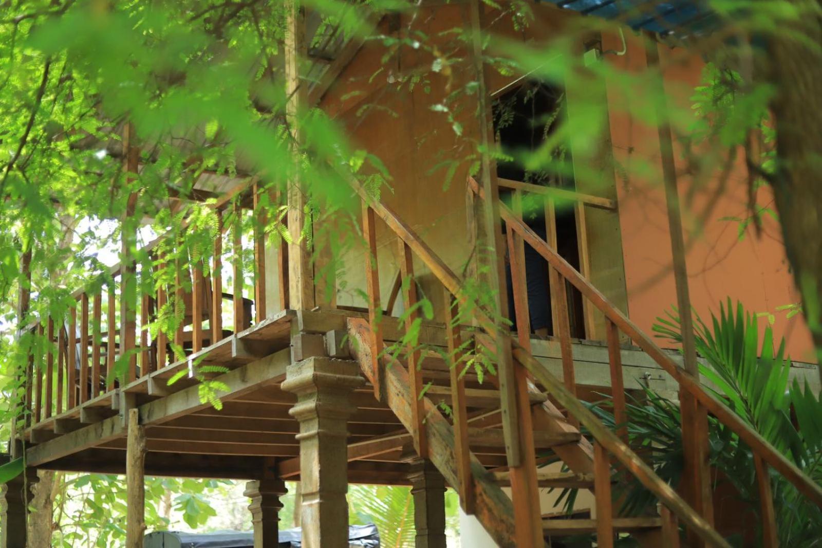 Sigiriya Free View Tree House & Villa Exterior foto