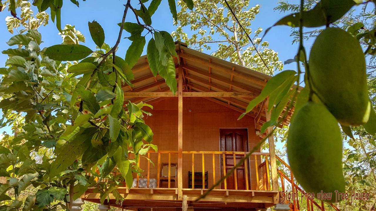 Sigiriya Free View Tree House & Villa Exterior foto