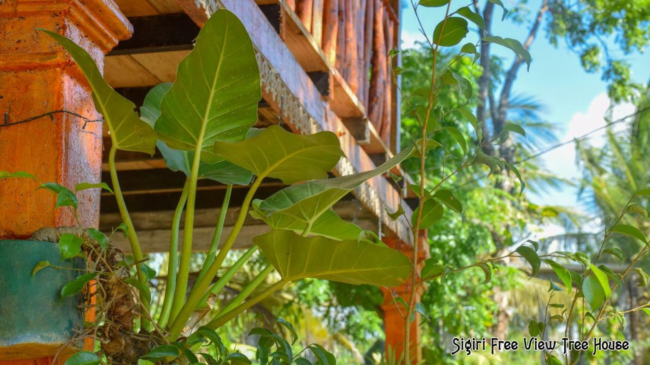 Sigiriya Free View Tree House & Villa Exterior foto