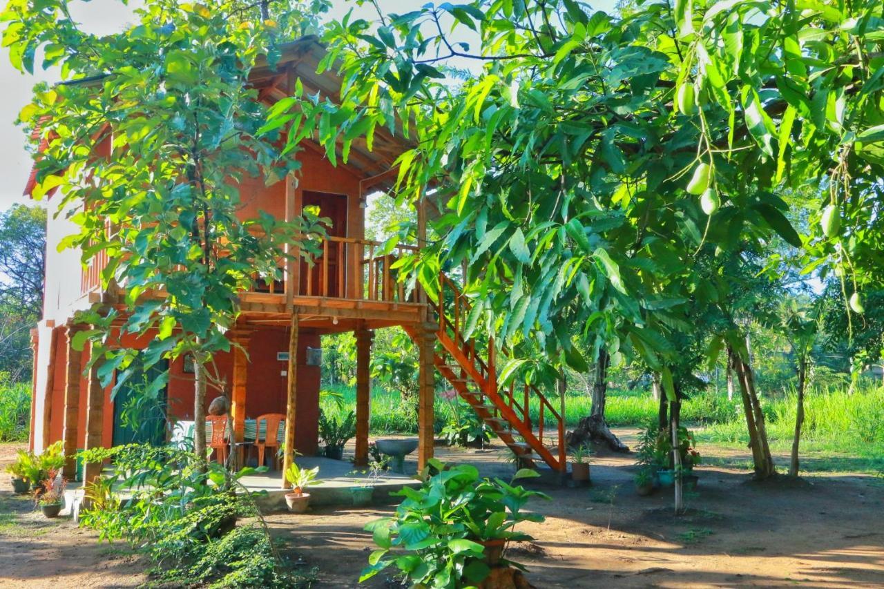 Sigiriya Free View Tree House & Villa Exterior foto