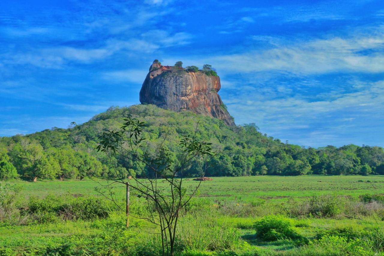 Sigiriya Free View Tree House & Villa Exterior foto