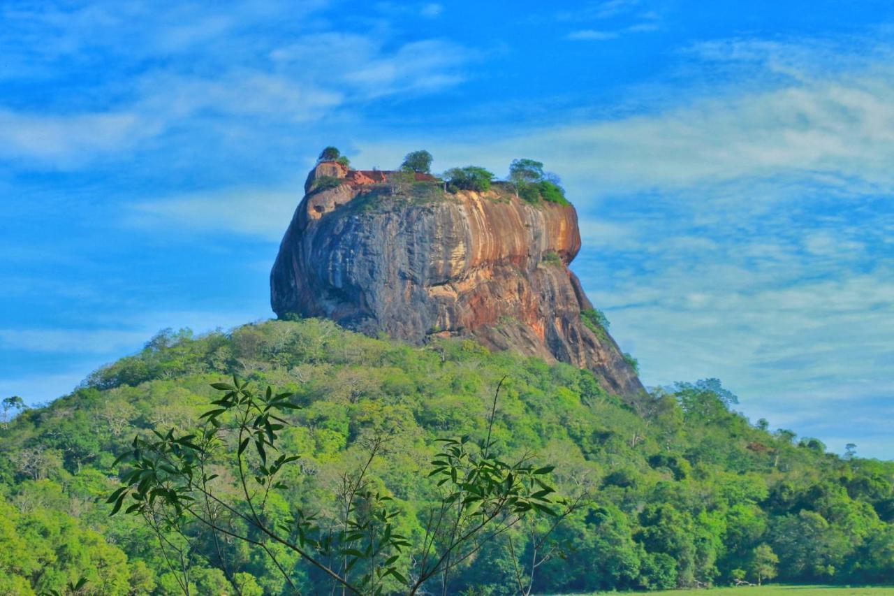 Sigiriya Free View Tree House & Villa Exterior foto